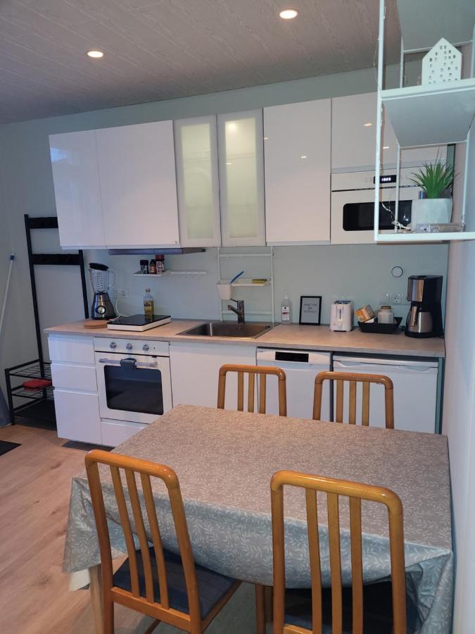 Cozy Studio Apartment In Central Akureyri. المظهر الخارجي الصورة